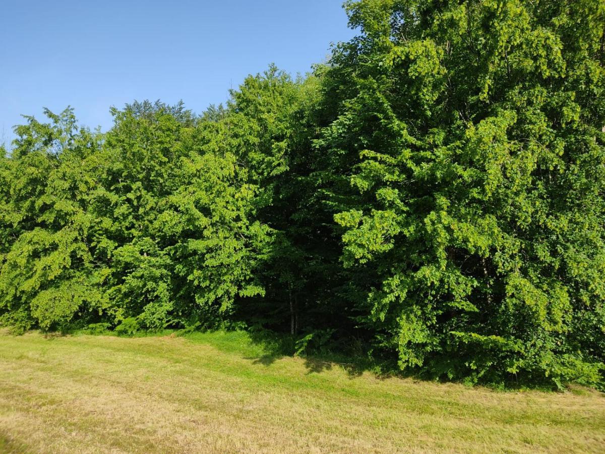 Apartmani Jana Bijelo Polje Zewnętrze zdjęcie