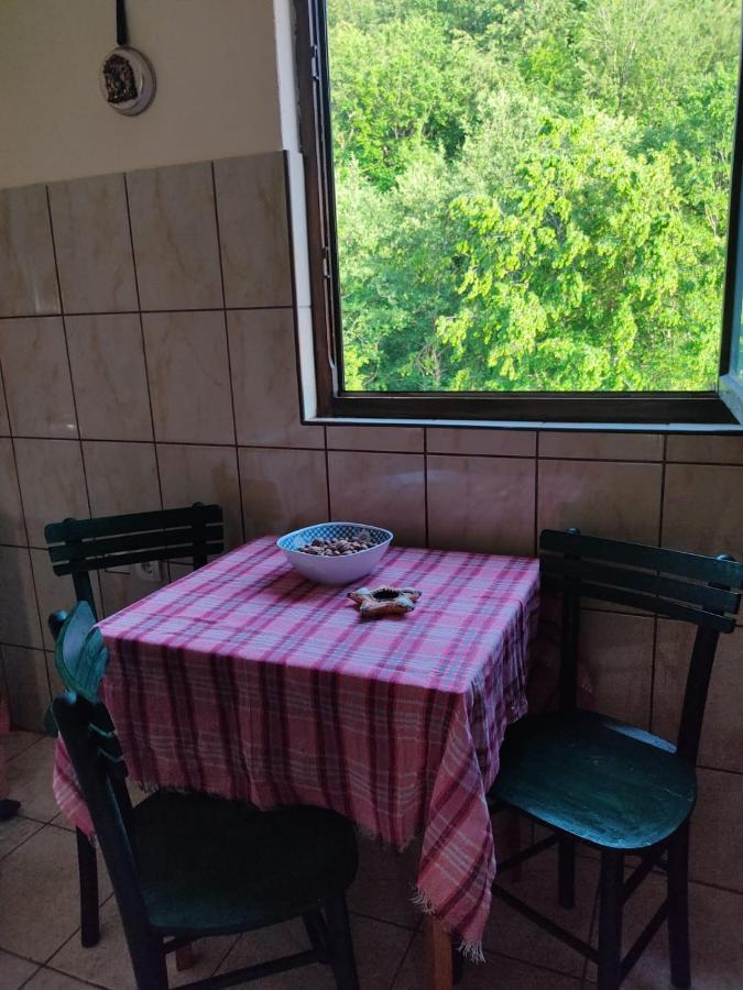 Apartmani Jana Bijelo Polje Zewnętrze zdjęcie
