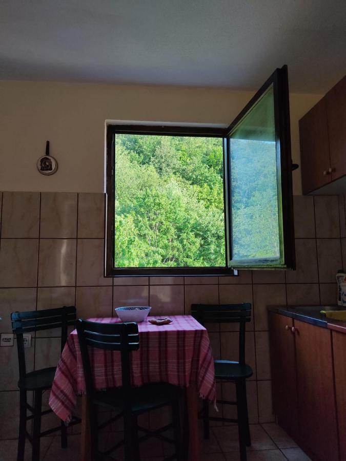 Apartmani Jana Bijelo Polje Zewnętrze zdjęcie