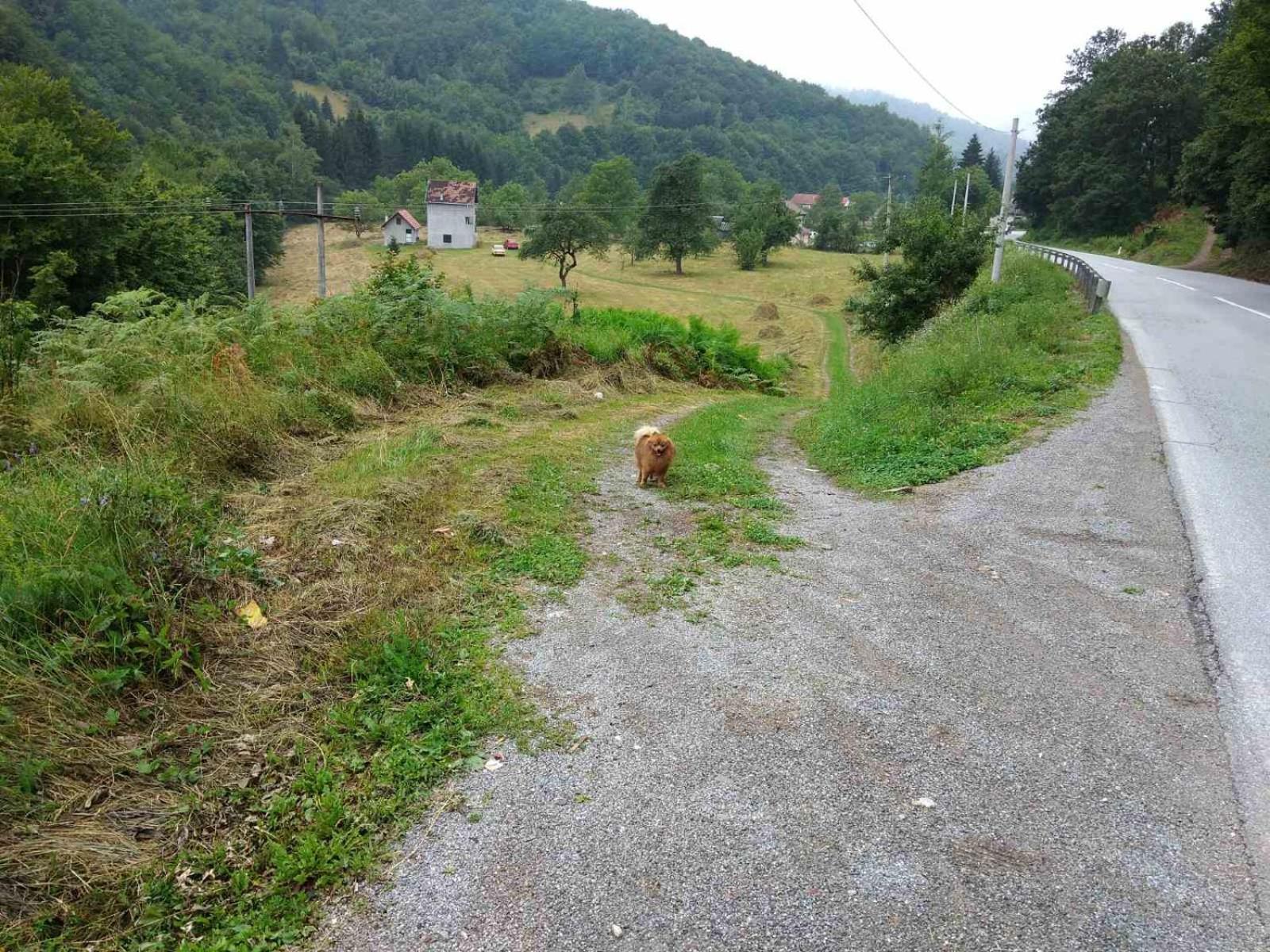 Apartmani Jana Bijelo Polje Zewnętrze zdjęcie
